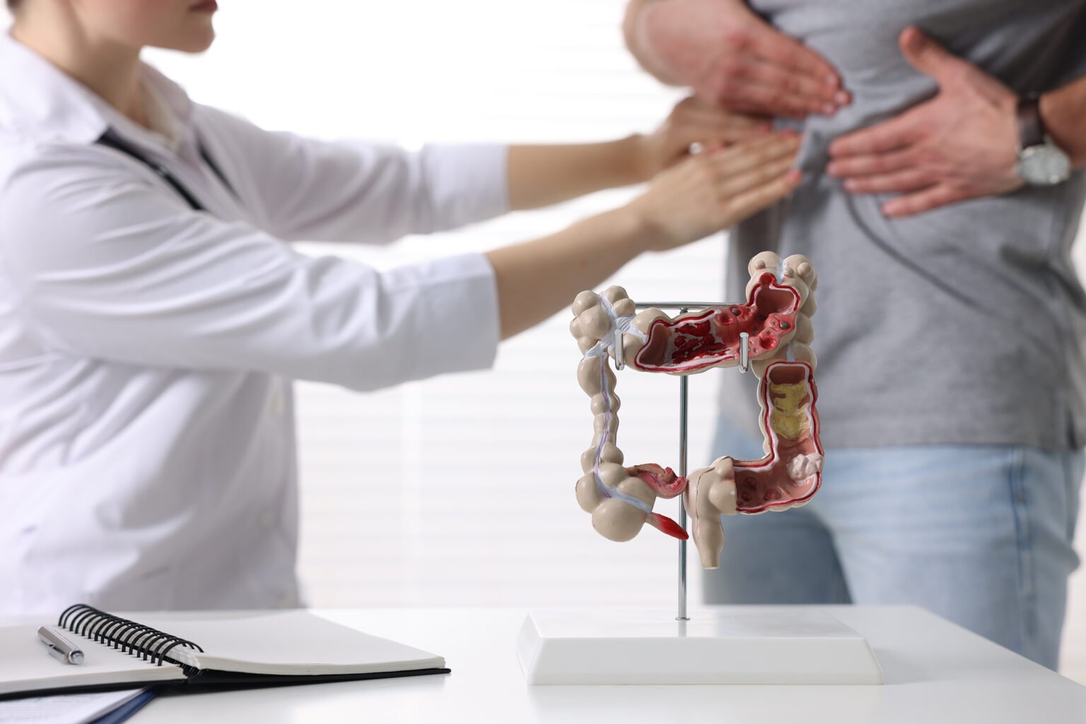 Gastroenterologe bei der Untersuchung eines Patienten mit Magenschmerzen in einem Raum, Fokus auf anatomisches Modell des Dickdarms